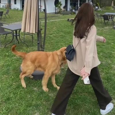 无爱理想国